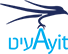 AYIT AVIATION logo