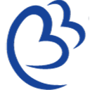 BLUE BIRD AIRWAYS logo